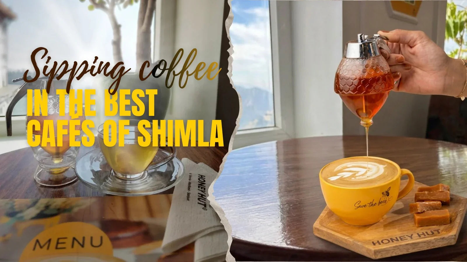 Best cafe in Shimla: Where Coffee Loves the Peace of the Hills